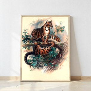 Poster O Tigre Nublado