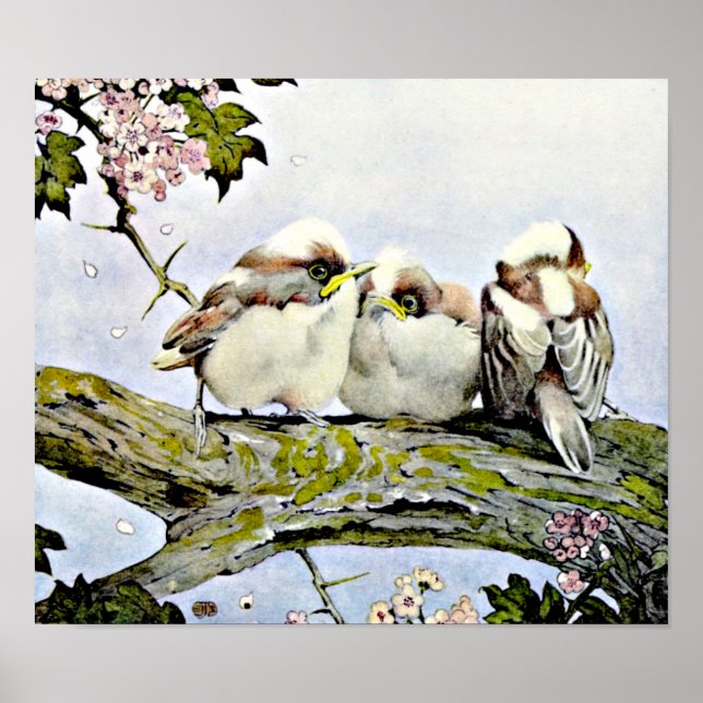 Poster O Tit De Longa Altura, Edward Julius Detmold (Frente)