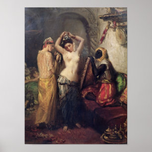 Póster O toalete no seralho