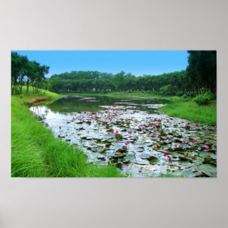 Poster O toque da natureza