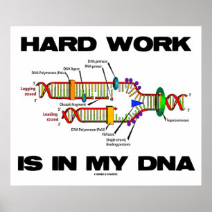 Poster O Trabalho De duro Está No Meu DNA (Replicação De