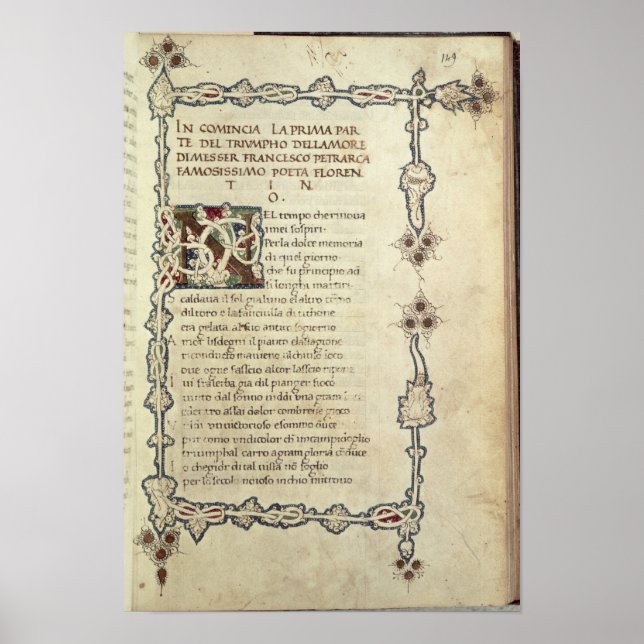 Póster O triunfo do amor (Frente)