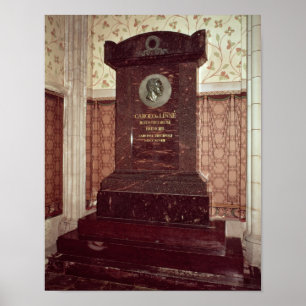 Póster O túmulo de Carl Linnaeus
