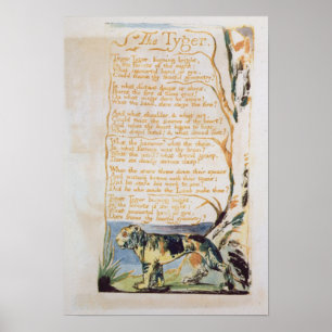 Poster O Tyger, das canções da inocência