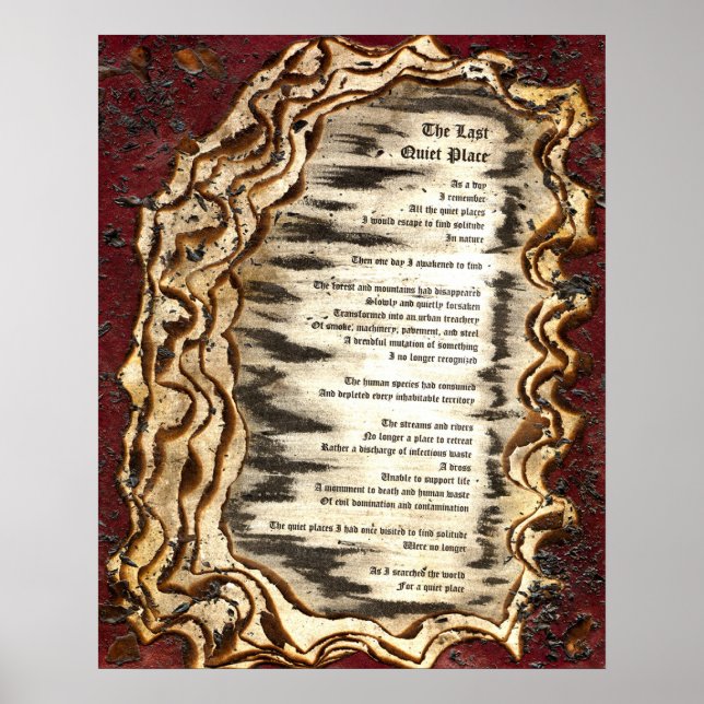 Póster O último lugar silencioso (Frente)