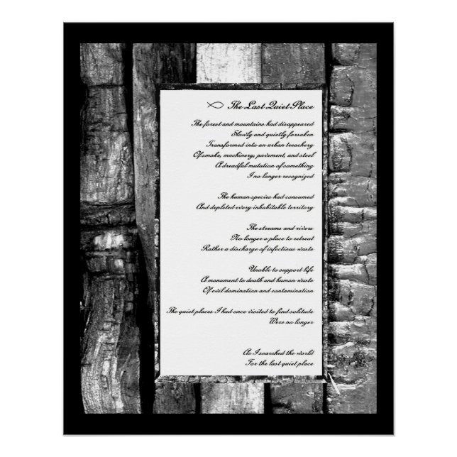 Póster O último lugar silencioso (Frente)