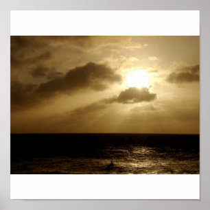 Póster O último surfista