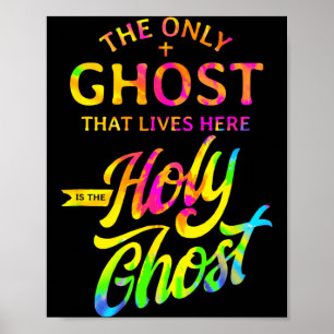 Poster O Único Fantasma Que Vive Aqui é o Espírito Santo
