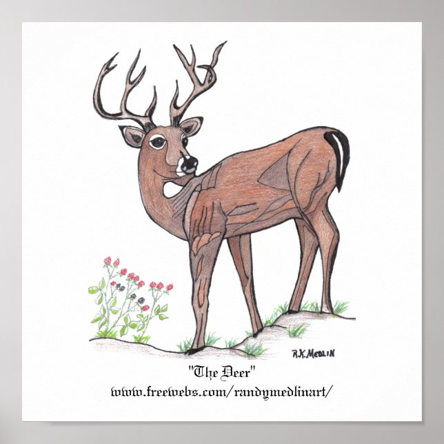 poster "O Veado" (Frente)