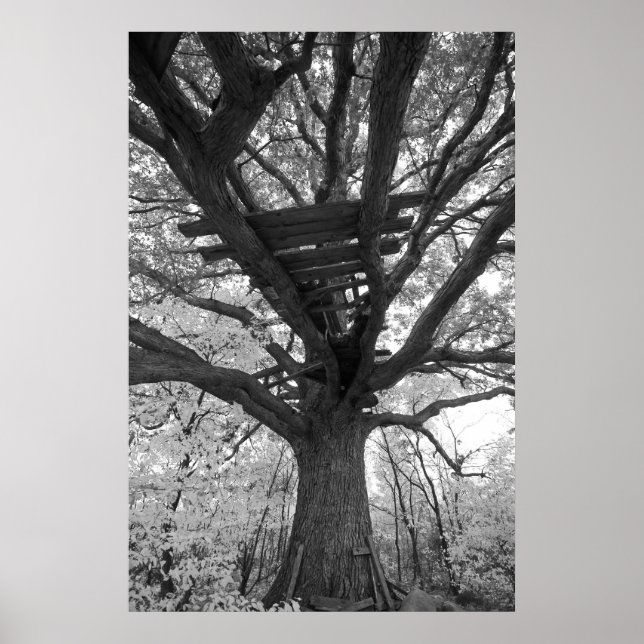 Póster O Velho Forte (Frente)