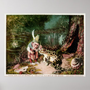 Póster O Velho Homem das Florestas