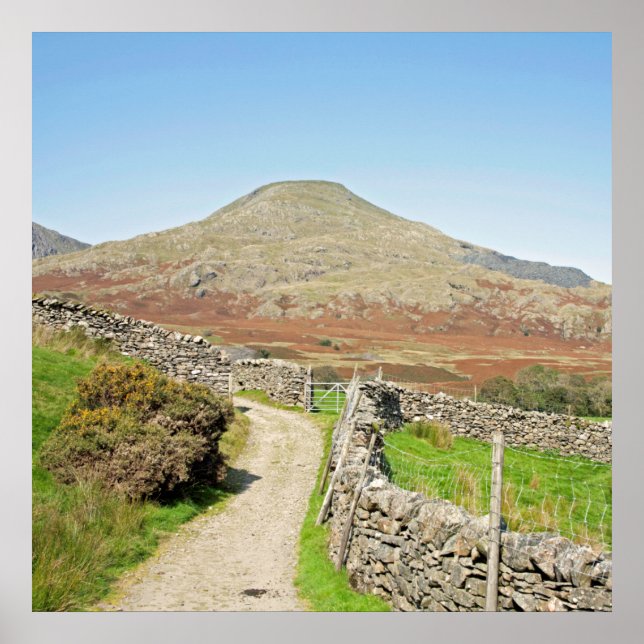 Poster O Velho Homem de Coniston Postcard Cushion (Frente)