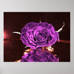 Poster O veludo roxo aumentou