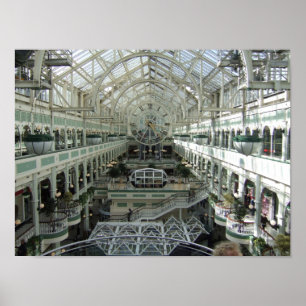 Póster O verde de Stephen, Dublin