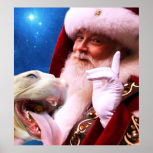 Póster o vermelho cheirou o cão & o Papai Noel de Pitbul