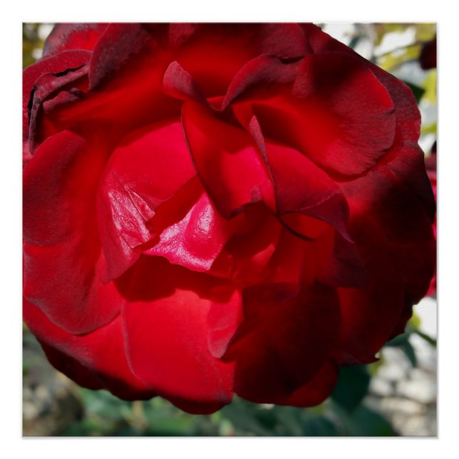 Póster O vermelho do outono (Frente)