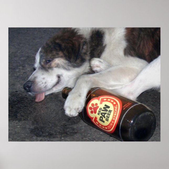 Póster O Vice do Mestre (Frente)