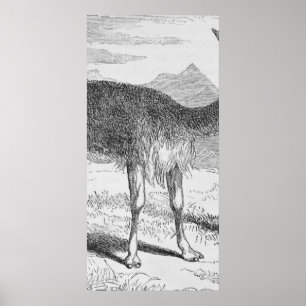 Póster O Vicuna no Rio de Azufre