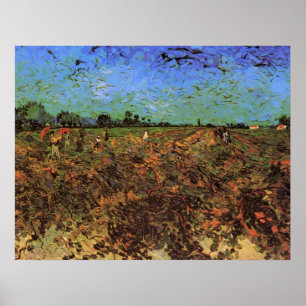 Póster O Vinhedo Verde por Vincent van Gogh
