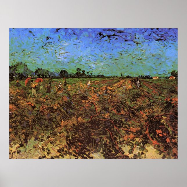 Póster O Vinhedo Verde por Vincent van Gogh (Frente)