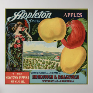 Poster O vintage Apple velho frutifica etiquetas da caixa