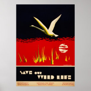 Póster O vintage restaurou economias nossa cisne de