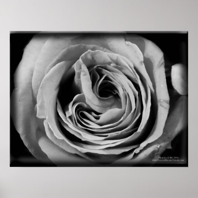 Póster O Void (Frente)