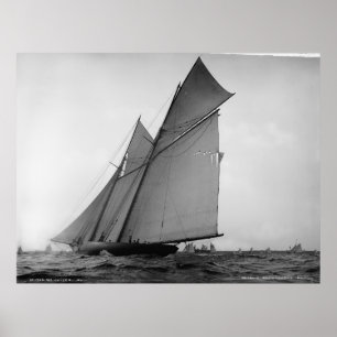 Póster O Voluntário