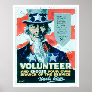 Póster O voluntário e escolhe seu ramo (US02082)