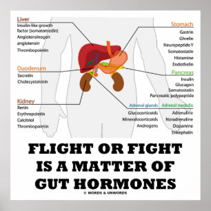 Póster O Voo Ou A Luta É Uma Questão De Hormonas De Tri