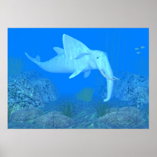 Poster O Whalfant Adorável