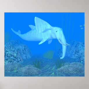 Poster O Whalfant Adorável