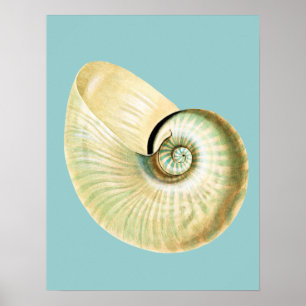 Póster O zen inspirou o tema da praia