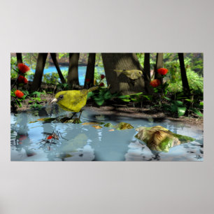 Póster Oahu Amakihi