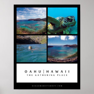 Poster Oahu Hawaii - O Lugar De Reunião