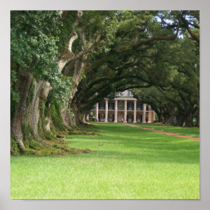 Póster Oak Alley Plantation
