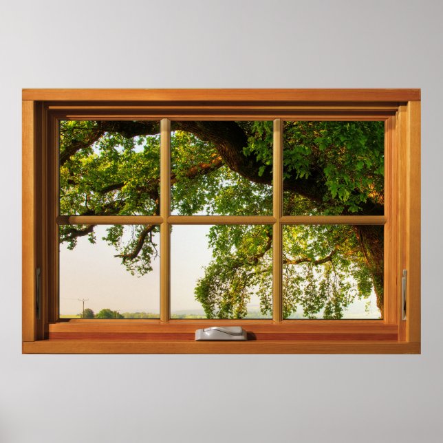Poster Oak Tree Branches Wooden Window Illusion (Frente)
