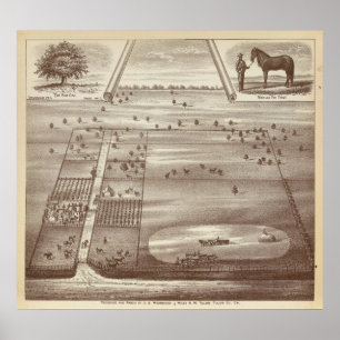 Póster Oakdale Ranch