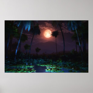 Póster Oásis enluaradas (Illume)