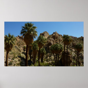 Póster Oásis Lost Palms I no Parque Nacional Joshua Tree