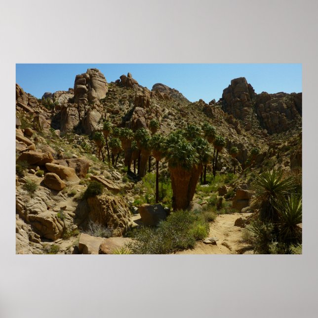 Póster Oásis Lost Palms II no Parque Nacional Joshua Tree (Frente)