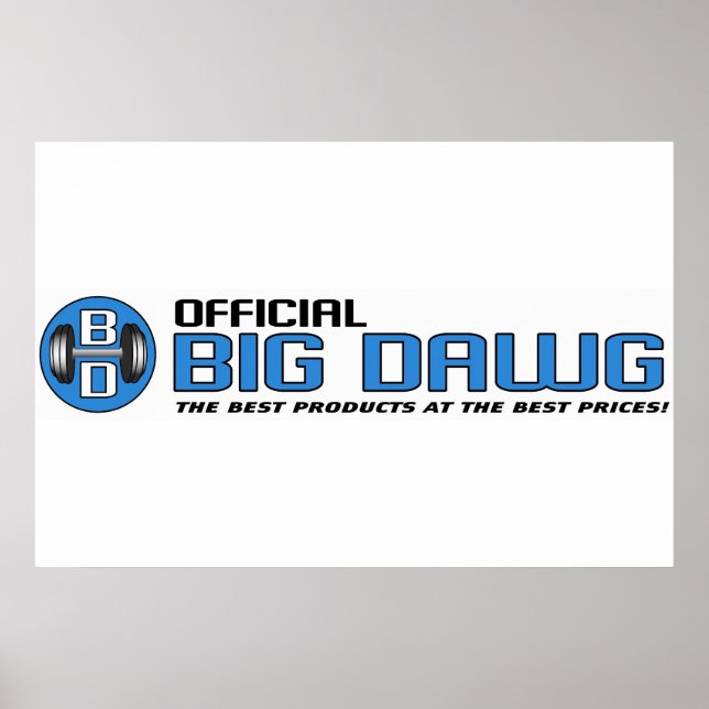 POSTER OBD BANNER (Frente)