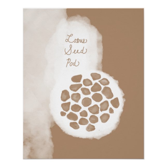 Póster objet_11_lotus seed pod glossy poster (Frente)