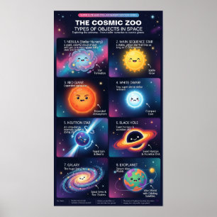 Poster Objetos Espaciais do Zoológico Cósmico Infográfico