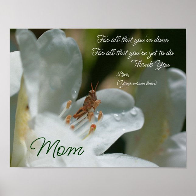 Poster Obrigada Mãe Amava Azalea Flor Personalizada (Frente)