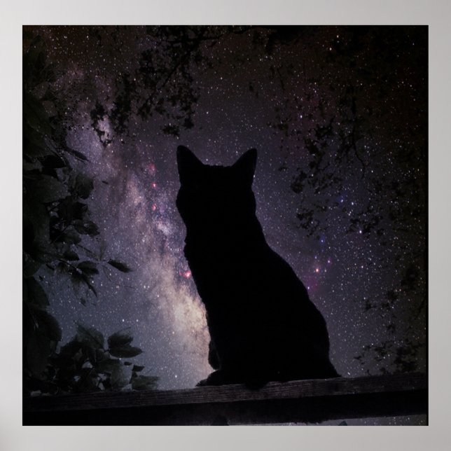 Póster Observação da Noite (Frente)