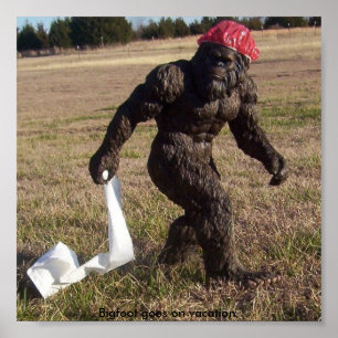 Póster Observação de Bigfoot