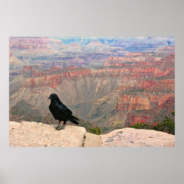 Poster Observador do Canyon (Frente)