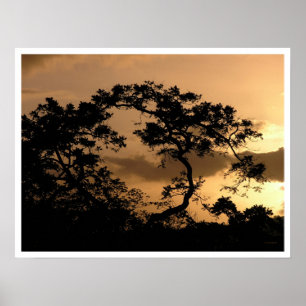 Póster observador do sol