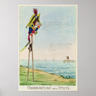 Póster Observations Upon Stilts